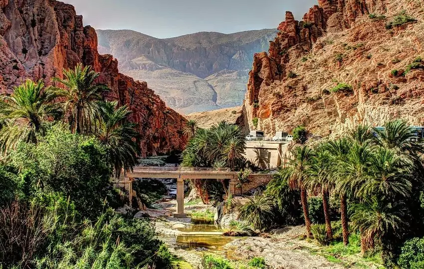 Oasis de Biskra, Algérie